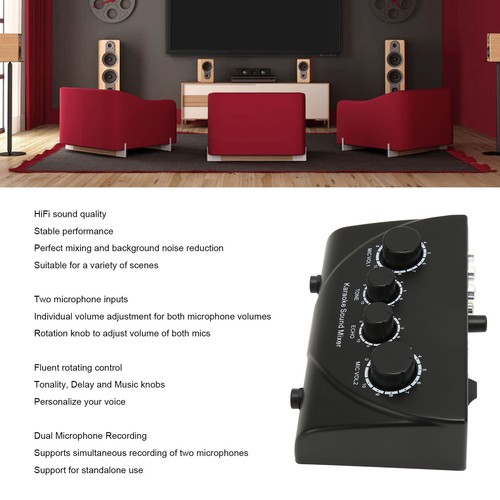 Karaoke Sound Mixer Professional Plug And Play 2 Mic Mic Pre Amplifier WTD Fit - Afbeelding 12 van 23