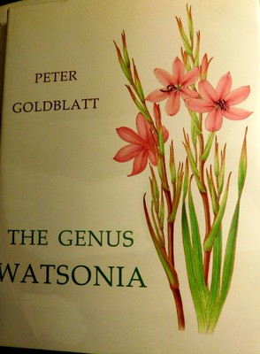 THE GENUS WATSONIA by Goldblatt