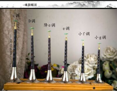 Practice Performance of C, D, E, F and G Tunes of Ebony Suona Instrument