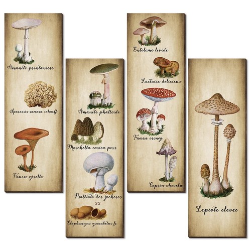 4 Pack Wall Decor Vintage Wooden Art Sign Rustic Kitchen Decor Fungus Aesthet...