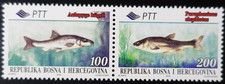 TIMBRES de BOSNIE-HERZÉGOVINE - ANIMAUX - POISSONS N°166/167 NEUF ** LUXE MNH