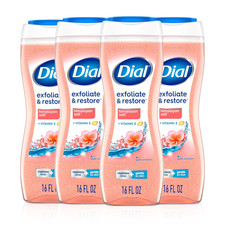 Dial Body Wash, Exfoliate  Restore Himalayan Salt, 16 Fl Oz Pack of 4 
