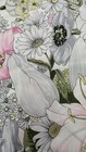 Bild 6 von 8