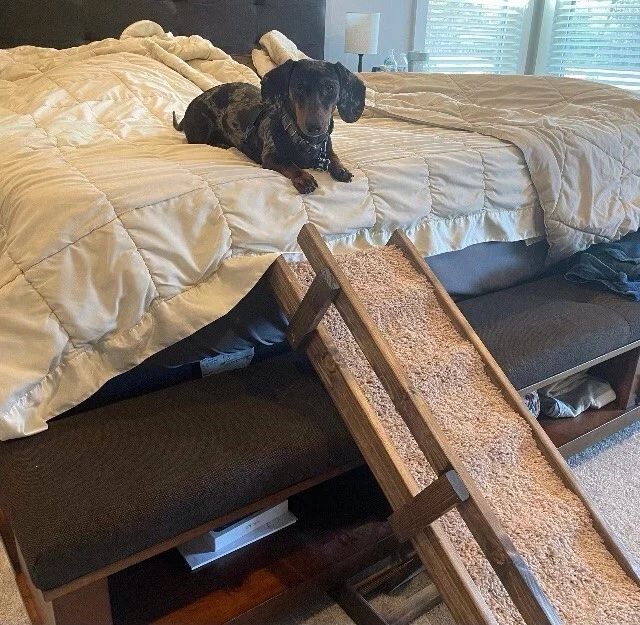 48 x 12 домашних животных пандус, маленький, кошка щенок кролик кролик, отдельно стоящий регулируемый, шаг домашнего животного - Изображение 3 из 4