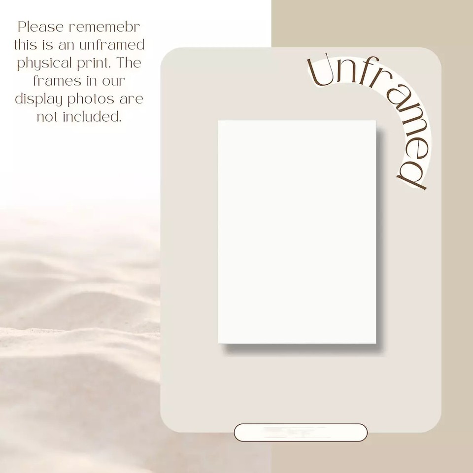 Newport Jazz Festival 2024 Poster, 2024 Jazz Festival . Poster 2024 eBay