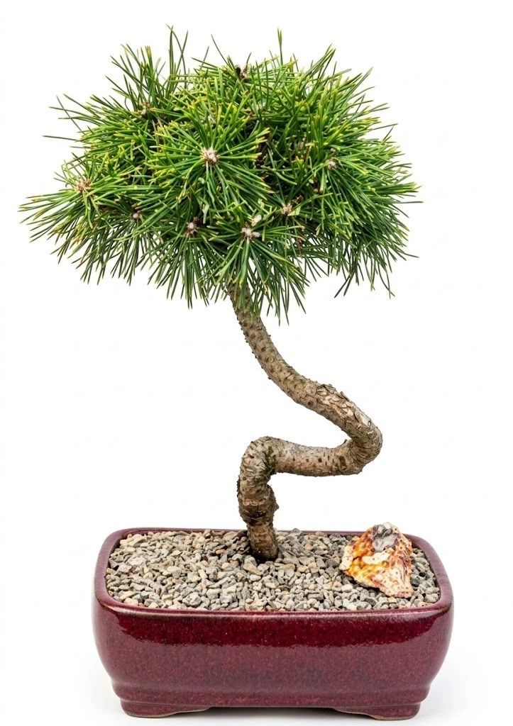 bambus sttzen Bambus Pecha-Sttze / Lang  Rinchen Shop