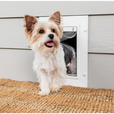 NWOB Pet Safe Wall Entry Pet Door White With Closing Panel