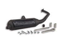 Auspuff -MALOSSI Wild Lion Homologiert- Aprilia SR Motard, Derbi Variant Sport,