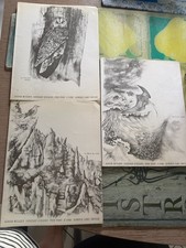 OLIVIER MESSIAEN CATALOGUE D’OISEAUX POUR PIANO 3/6/7 EME LIVRE