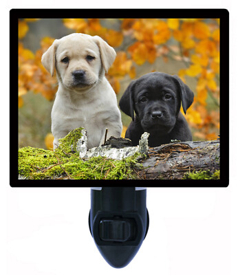Dog Decorative Photo Night Light, Yellow and Black Labs, Labrador Retriever