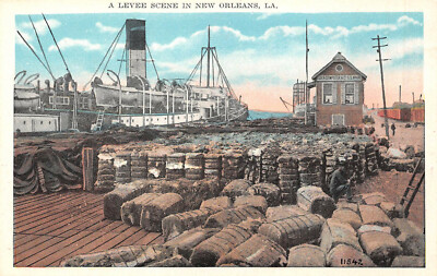 A Levee Scene in  New Orleans, La. Unposted c1920 Postcard FREESHIP