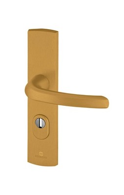 9920131 Türgriffe geschirmt auf Platte EMUST Gold