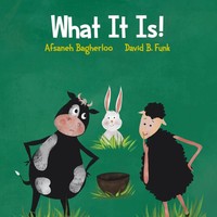 What It Is! | David B Funk (U. A.) | Englisch | Taschenbuch | 2020