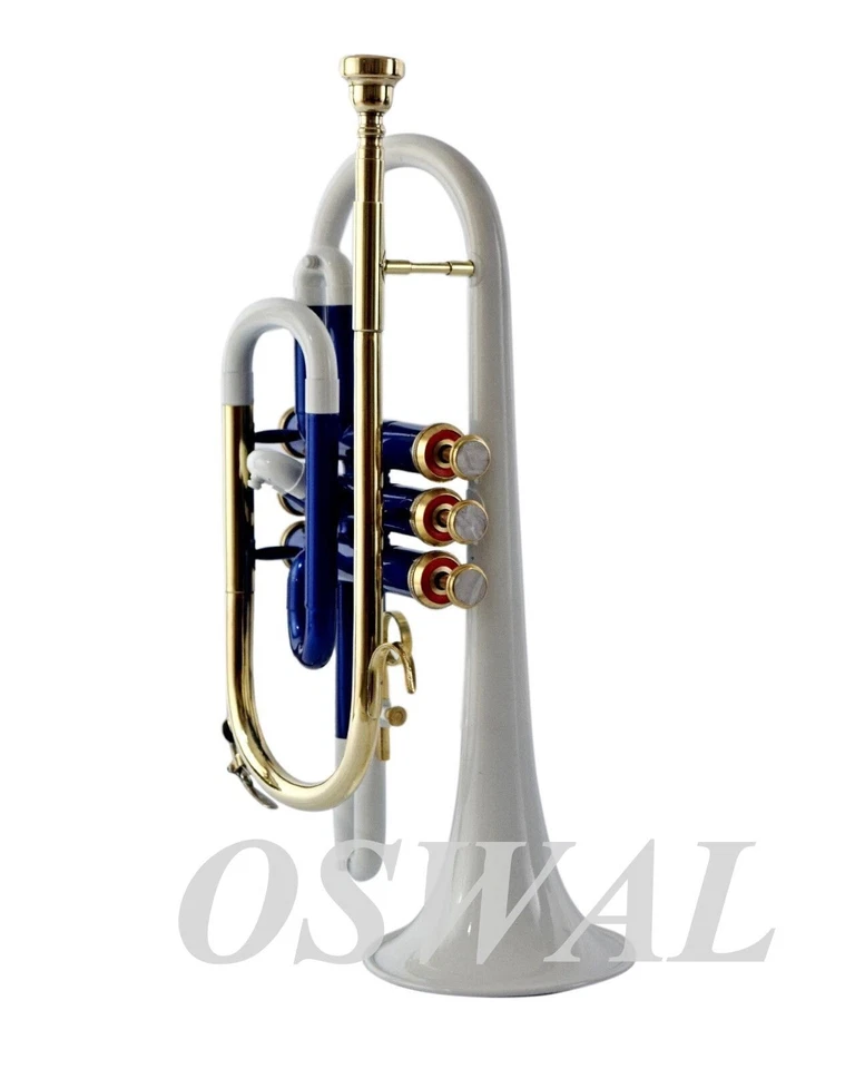 Corneta BLANCO AZUL LATÓN Bb NÍQUEL PLANO ELECCIÓN DEL EXPERTO + ESTUCHE RÍGIDO + BOQUILLA Foto 2 de 4