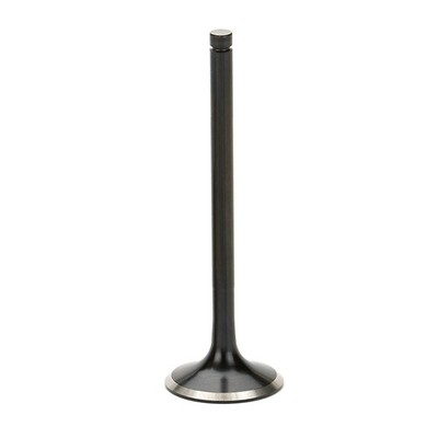 Auslassventil Black Nitrided für Honda Acura Integra GSR Del Sol Civic B16A B18C