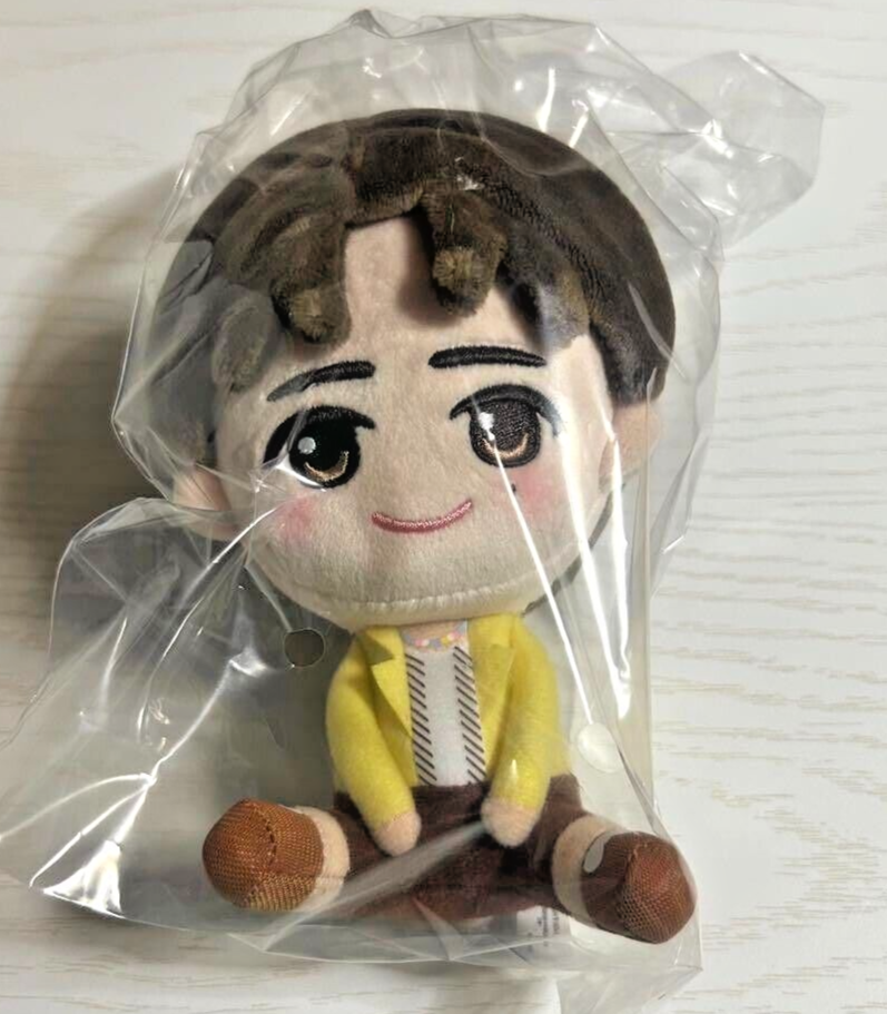 SEVENTEEN DK Plush Doll stuffed toy Petiteen 13cm Ichiban Kuji New