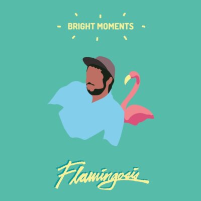 Flamingosis - Bright Moments (Black Vinyl) Vinyl LP NEU 0152919 | eBay
