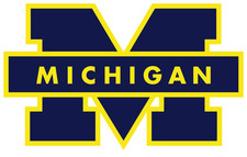 Michigan Wolverines Decal / FREE SHIPPING / Buy 2 Get 1 FREE