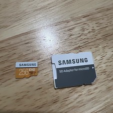 Samsung EVO Plus 256GB microSD Card