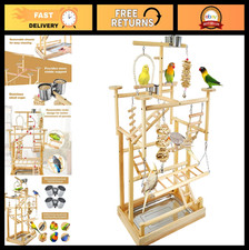 Natural Wood Bird Playground - Parrot Playstand with Perches, Gym  Removable Tr
