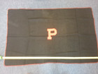 Vintage Princeton University Wool Stadium Blanket 39 x 59 HTF RARE VGC — photo 2