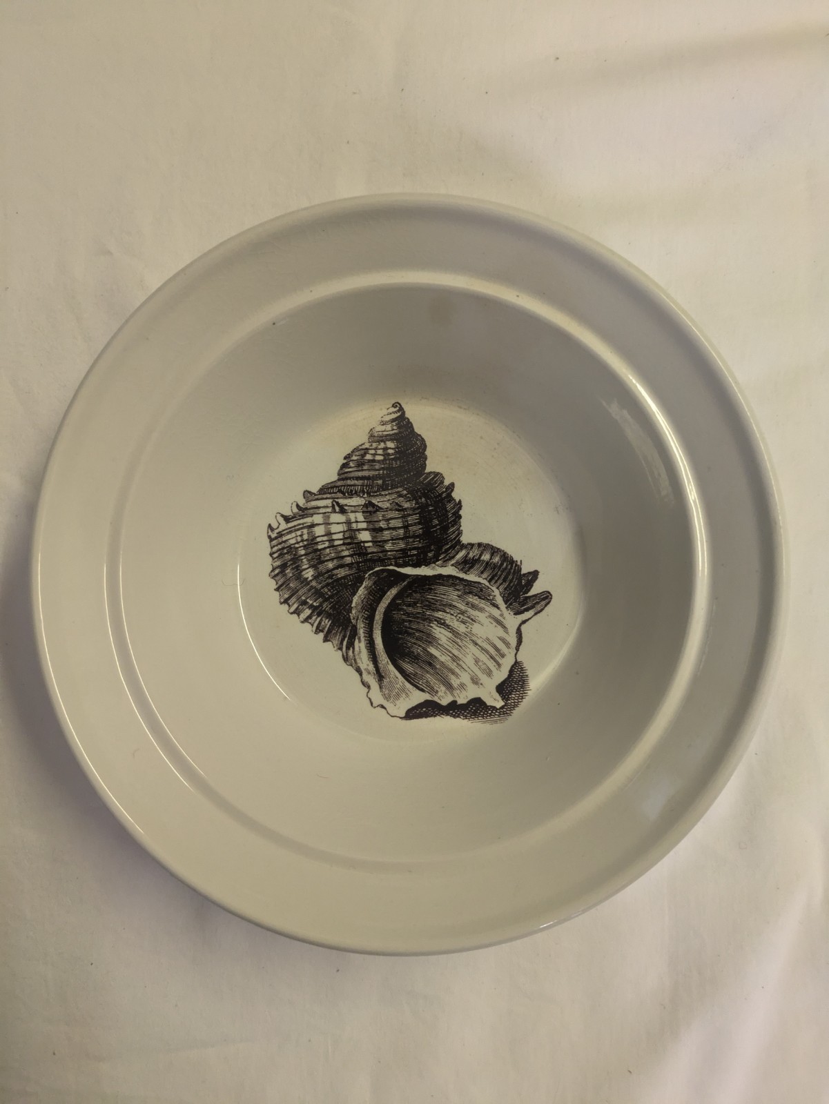 Portmeirion Königreich des Meeres Chinesisch Immergrün 8,5" Schüssel