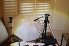 MOBLE PHOTO STUDIO, PERFECT FOR MODEL PORTFOLIOS, PETS, WILD LIFE, MORE!! — photo 8