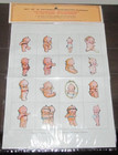 Merrimack Cutie Pixies 16 Stickers Ephemera Hong Kong NY Wet Stick On NEW — photo 1