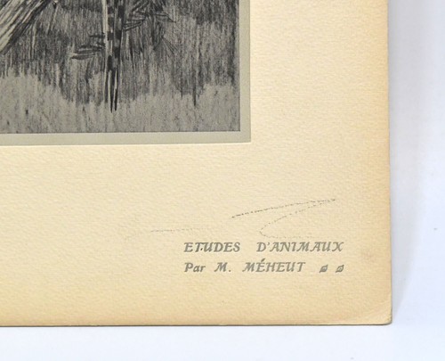 VINTAGE 1911 MATHURIN MEHEUT "ETUDES D'ANIMAUX HAWK DRAWING STUDY LITHOGRAPH - Picture 2 of 5