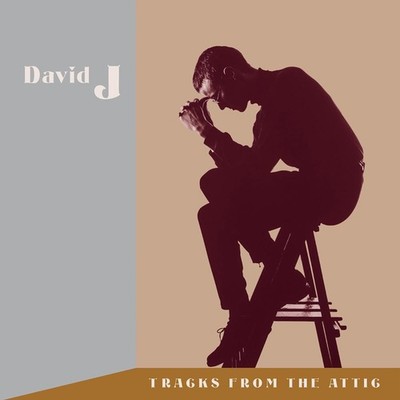 David J Tracks from the Attic (CD) Special  Box Set