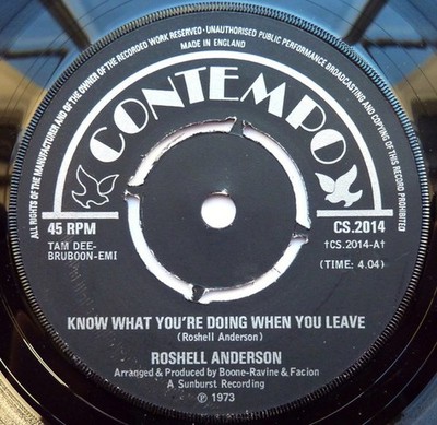 Roshell Anderson - Know What You're Doing When You Leave / No Partic - F16669z