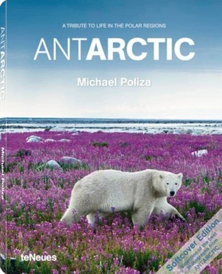 AntArctic (English and Spanish Edition)