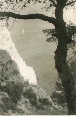 PHOTO OF THE Mediterranean Sea taken from above tree small sail to identify