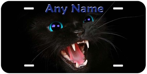 Matrícula de coche novedad personalizada con ojos de gato cualquier nombre texto - Imagen 21 de 24