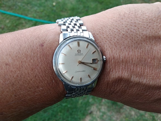 OMEGA Seamaster Silver Men's Watch 