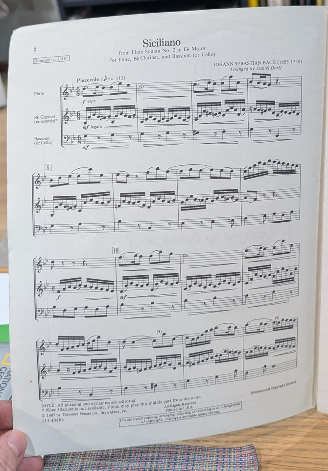 Siciliano de Flauta Sonata Nº 2 en Mi Flat Major de Johann Sebastian Bach Foto 2 de 4