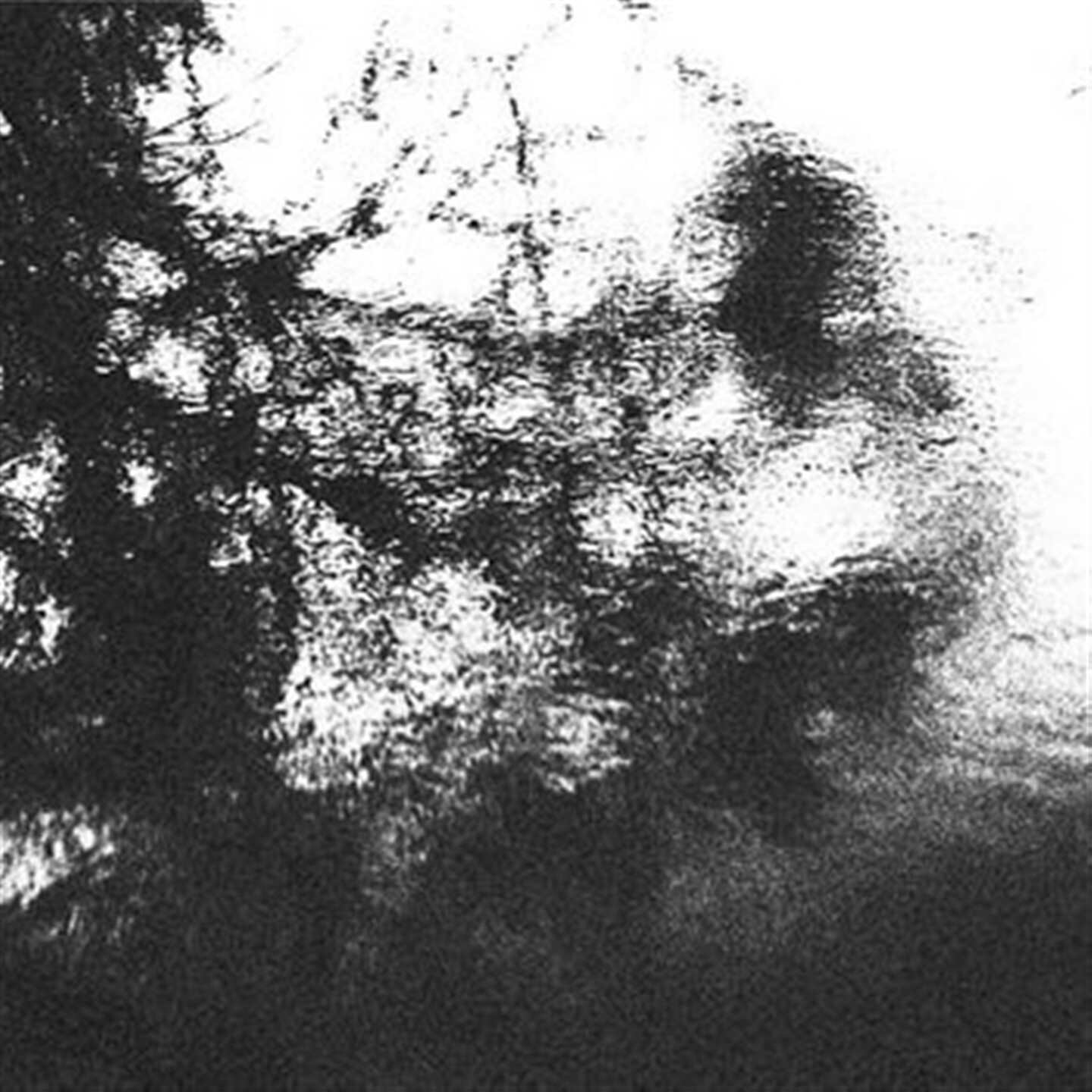 Alluring the Distant Eye (CD)