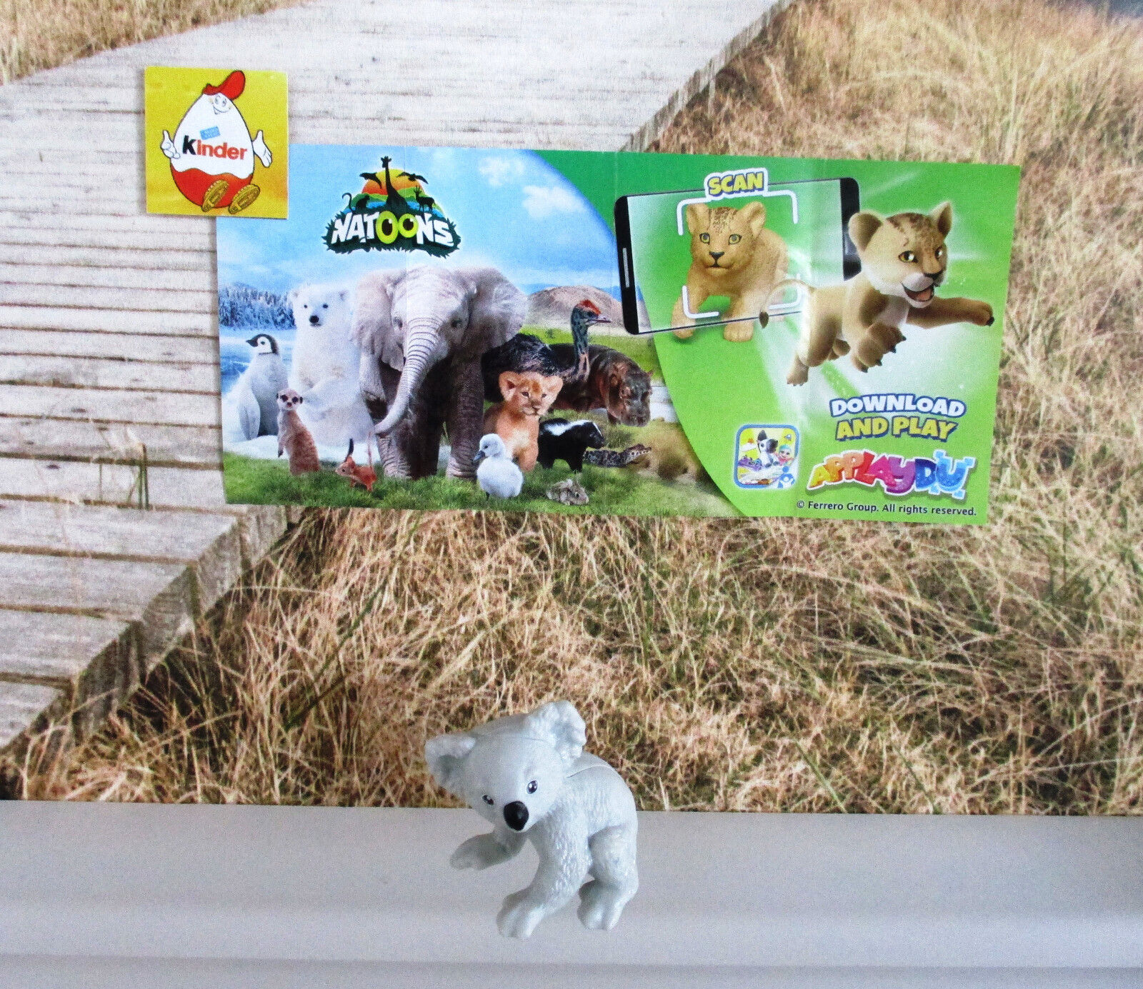 Bild 16 von 16
