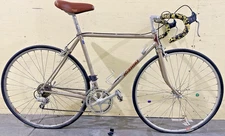 53cm NISHIKI International touring frame wheelset LIGHTWEIGHT BICYCLE drillium