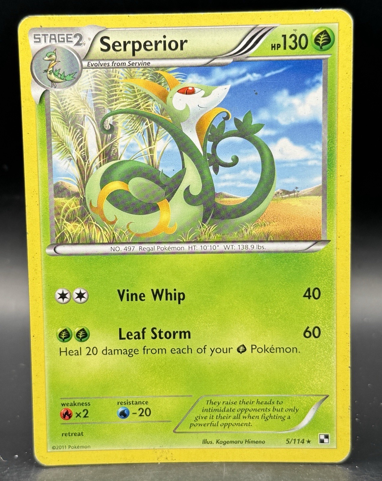 2011 Pokemon Black & White Serperior #5 Poor