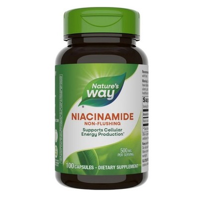 Niacinamide 100 Caps 500 mg by Nature's Way