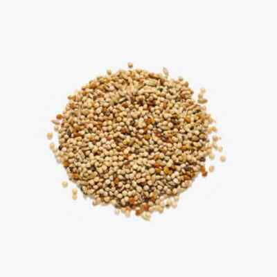 Special Budgie seed mix budgie budgerigar food FREE delivery