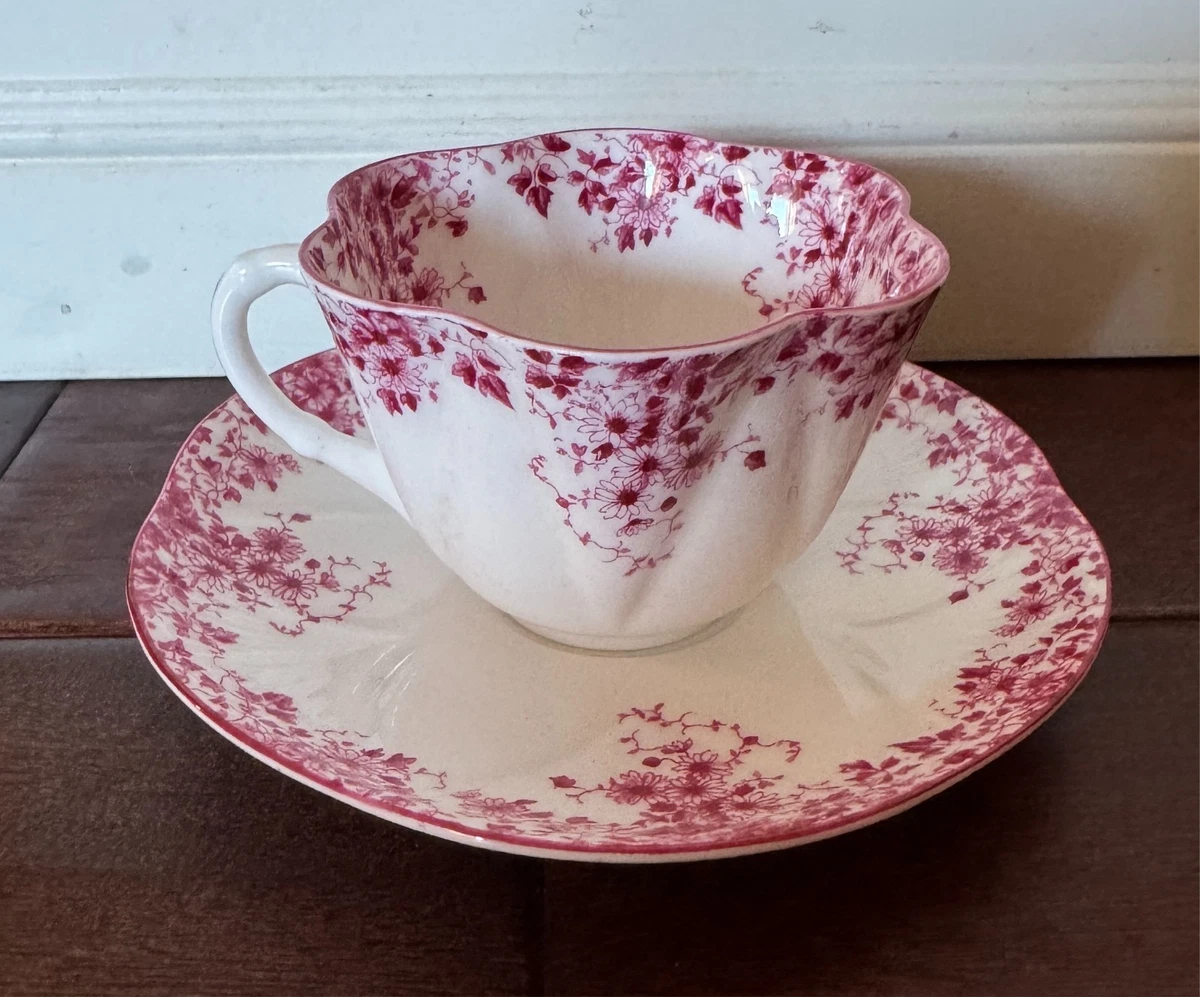 25+ Shelley Dainty for sale | Updated Oct 2026