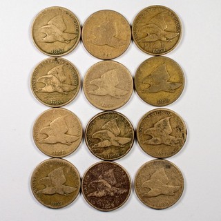 Lot of (12) Flying Eagle Cents 4x 1857 8x 1858