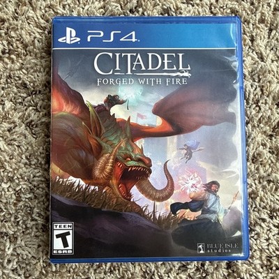 Citadel: Forged With Fire (Sony PlayStation 4, PS4) Complete - Tested