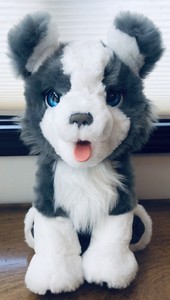 furreal friends husky