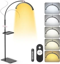 LIONVISON Half Moon Lash Light: 6500K LED Lamp Ring Light with 18In Black 