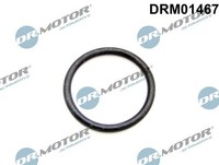 Dr.Motor Automotive Dichtung, ThermostatgehäUse DRM01467 FüR Ford