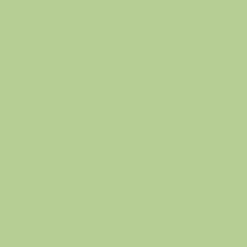 RILEY BLAKE - Confetti Cottons - Honeydew , Sold by the quarter yard