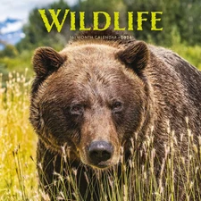 Carousel Calendars,  Wildlife Special Value 2026 Wall Calendar, 12'' X 12'', 16-